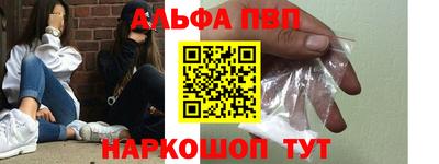 стафф Камышлов