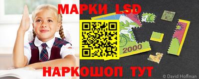 стафф Камышлов
