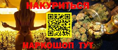 стафф Камышлов