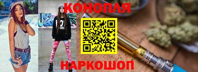 стафф Камышлов
