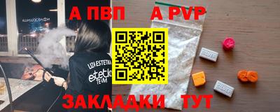 стафф Камышлов