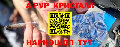 стафф Камышлов