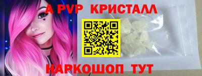 стафф Камышлов