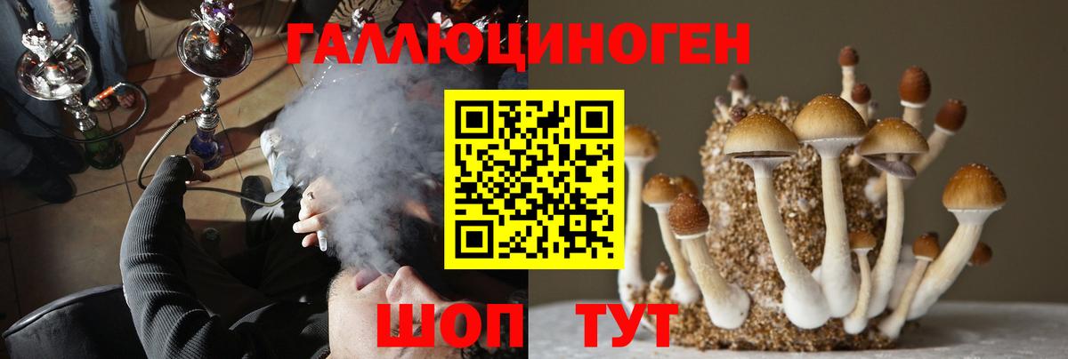 Кунгур  Галлюциногенные грибы Magic Shrooms  Вход с VPN 