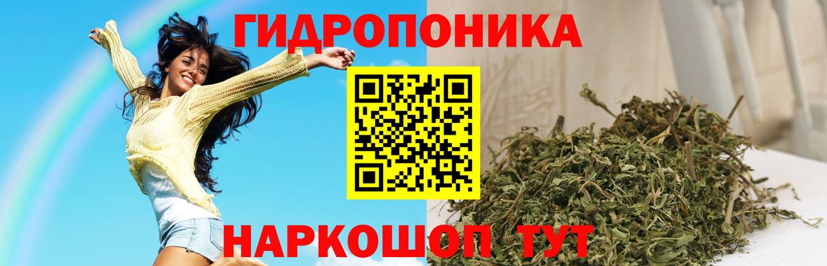 Бошки марихуана Bruce Banner  Вход с VPN  Кунгур  Бошки Шишки планчик  Каннабис план 